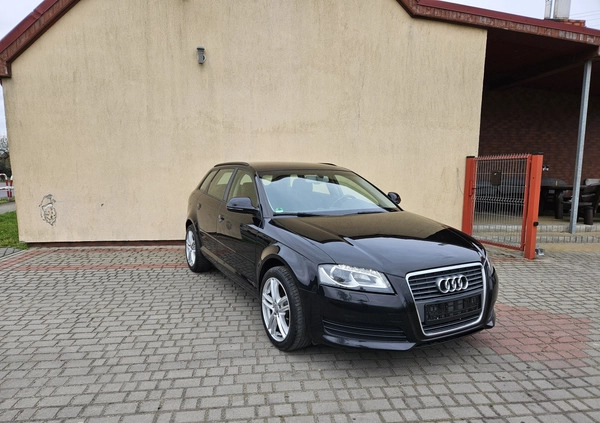 Audi A3 cena 25900 przebieg: 264000, rok produkcji 2010 z Gniezno małe 191